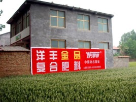 永德如何让墙体广告展现最大化效果