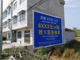永德墙体广告质量分析